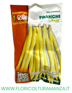 FAGIOLO RAMPICANTE NECKARGOLD