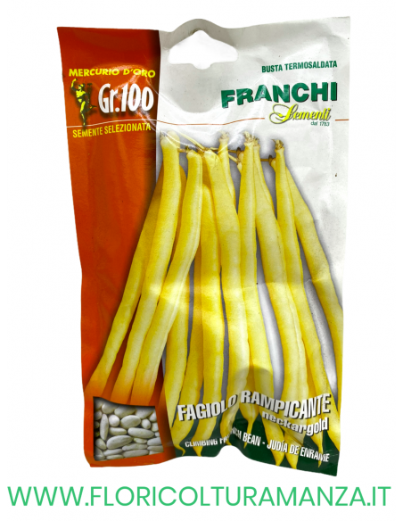 FAGIOLO RAMPICANTE NECKARGOLD