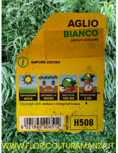 🧄 Aglio Bianco 2