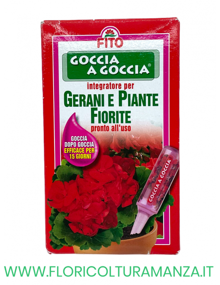 GOCCIA A GOCCIA GERANI E PIANTE FIORITE 6 FIALE