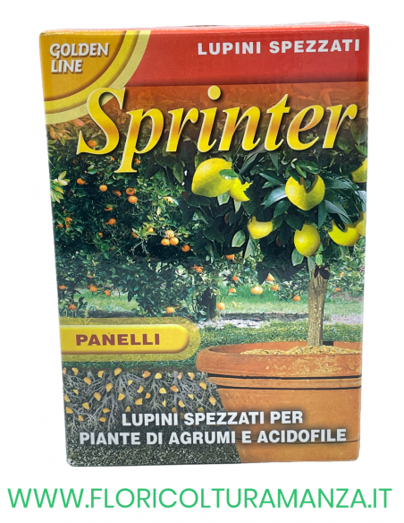 LUPINI MACINATI 800G