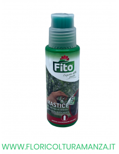 MASTICE 250 G FITO