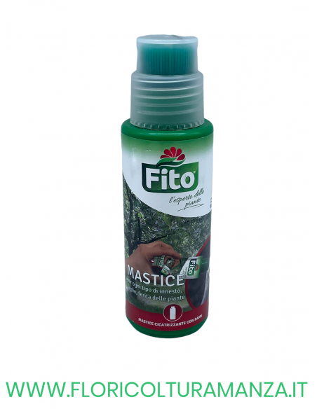 MASTICE 250 G FITO