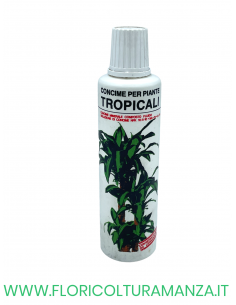 CONCIME PER PIANTE TROPICALI CIFO