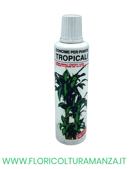 CONCIME PER PIANTE TROPICALI CIFO