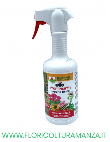 SAPONE MOLLE