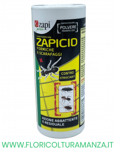 POLVERE INSETTICIDA PRONTA ALL’USO 250 GR