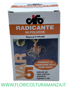 RADICANTE IN POLVERE