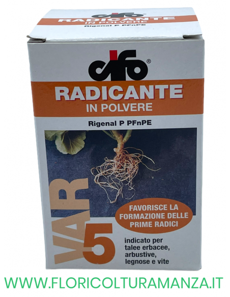 RADICANTE IN POLVERE