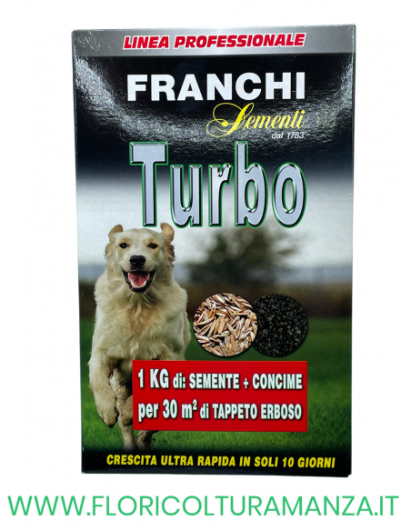 SEMENTE PROFESSIONALE PRATO TURBO FRANCHI