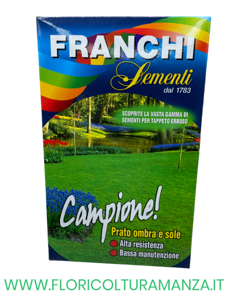 SEMENTE PRATO CAMPIONE FRANCHI