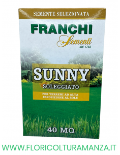 SEMENTE PRATO SUNNY SOLEGGIATO 1KG FRANCHI