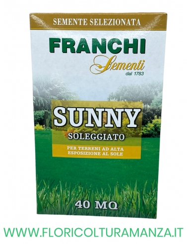 SEMENTE PRATO SUNNY SOLEGGIATO 1KG FRANCHI