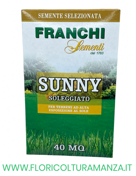 SEMENTE PRATO SUNNY SOLEGGIATO 1KG FRANCHI