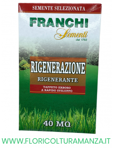 SEMENTE PRATO RIGENERAZIONE 1KG FRANCHI