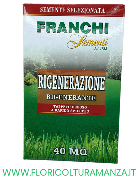SEMENTE PRATO RIGENERAZIONE 1KG FRANCHI