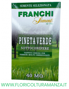 SEMENTE PRATO PINETA VERDE 1KG FRANCHI