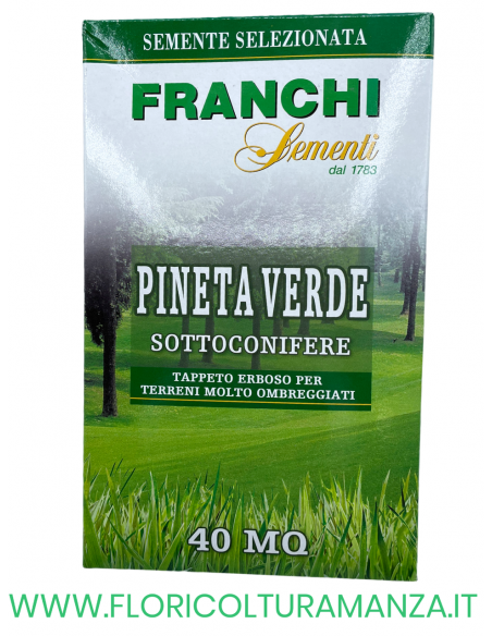 SEMENTE PRATO PINETA VERDE 1KG FRANCHI