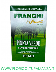 SEMENTE PRATO PINETA VERDE 250GR  FRANCHI