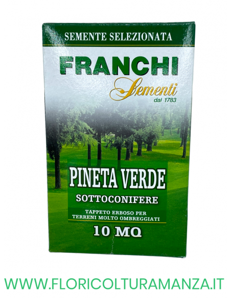 SEMENTE PRATO PINETA VERDE 250GR  FRANCHI