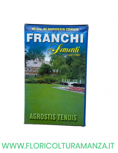 SEMENTE PRATO AGROSTIS TENUIS 250GR FRANCHI
