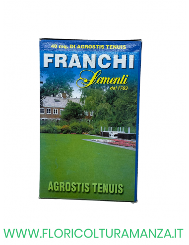 SEMENTE PRATO AGROSTIS TENUIS 250GR FRANCHI