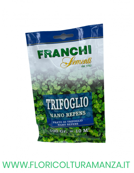 SEMENTE TRIFOGLIO NANO REPENS 100GR FRANCHI