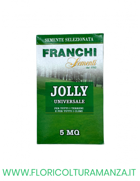 SEMENTE PRATO JOLLY 100GR FRANCHI