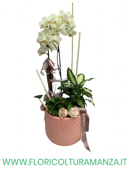 COMPOSIZIONE FLOREALE C2
