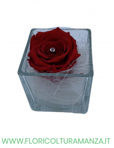 VASETTO IN VETRO CON ROSA STABILIZZATA
