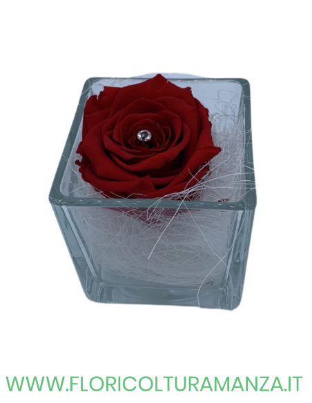 VASETTO IN VETRO CON ROSA STABILIZZATA