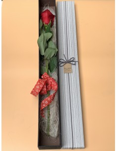 SCATOLA CON ROSA FRESCA