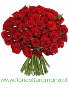 BOUQUET DELIZIA D'AMORE B6