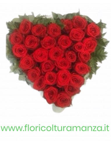 AMORE IMPAZZITO B9
