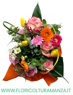 BOUQUET B27