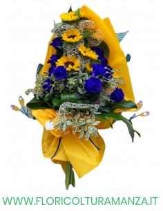 GIRASOLI ROSE BLU  B39