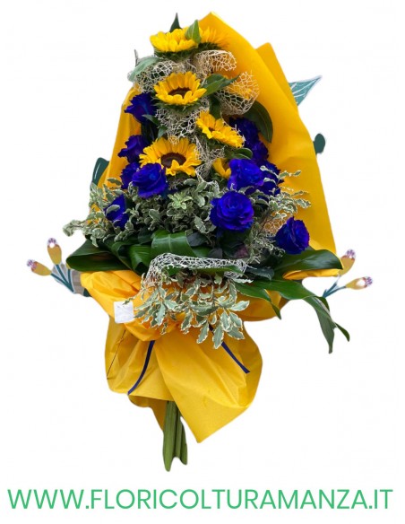 GIRASOLI ROSE BLU  B39