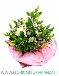 BOUQUET B50