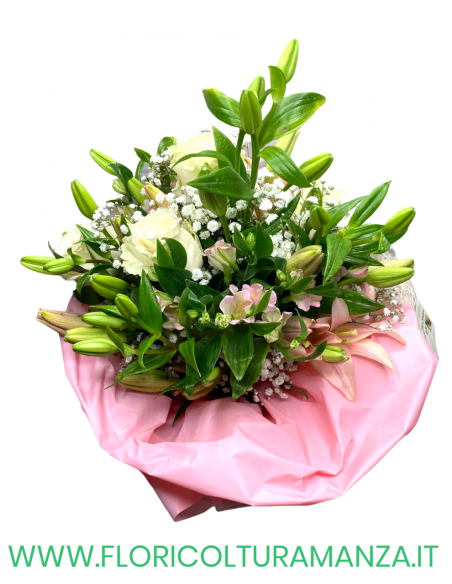 BOUQUET B50