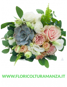 BOUQUET CHIARO B51