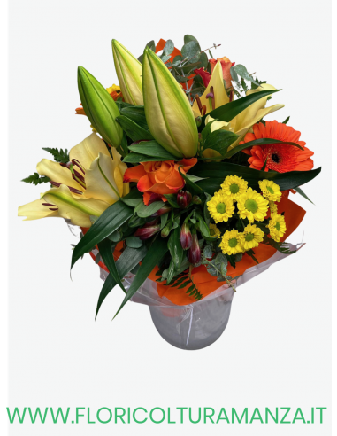 BOUQUET  M2