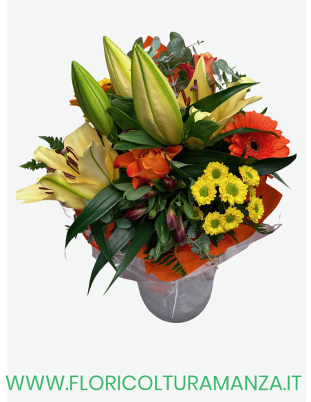 BOUQUET  M2