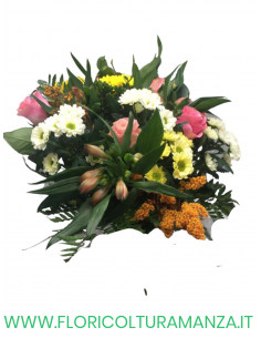 BOUQUET  M5