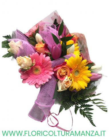 BOUQUET  M6