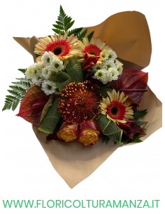 BOUQUET PRONTO M7