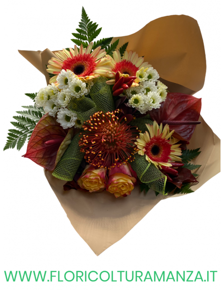BOUQUET PRONTO M7