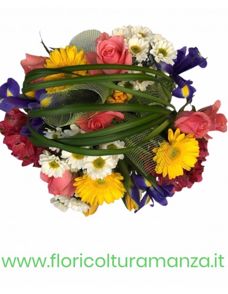 BOUQUET VIVA LA PRIMAVERA M13