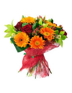 BOUQUET M14