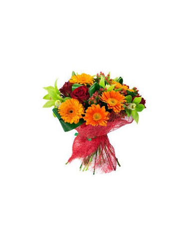 BOUQUET M14