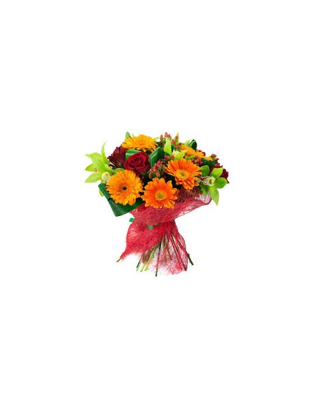 BOUQUET M14